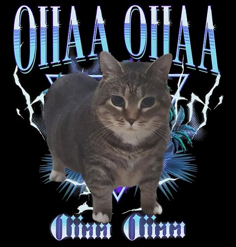 Obrázek produktu Dětské tričko Spinning Cat OIIAA OIIAA
