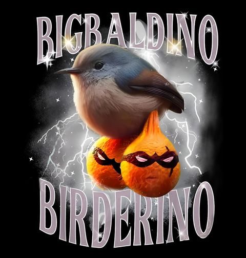 Obrázek produktu Dámské tričko Italský Brainrot Bigbaldino Birderino