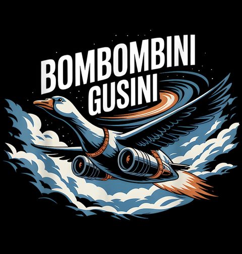 Obrázek produktu Pánské tričko Letící Husa Bombombini Gusini