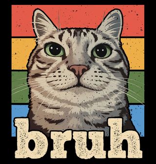 Obrázek 2 produktu Pánské tričko Mourovatá Kočka Cat Bruh