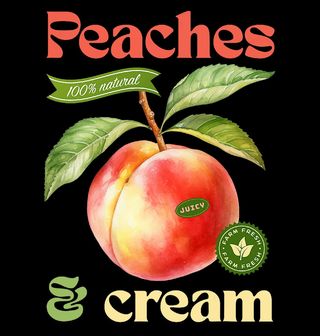 Obrázek 2 produktu Pánské tričko Broskve a smetana Peaches & Cream