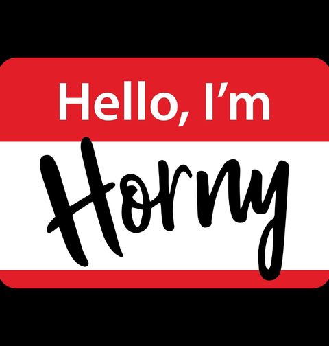 Obrázek produktu Dámské tričko Ahoj, jsem nadržený Hello, I'm Horny 