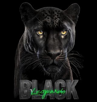 Obrázek 2 produktu Dámské tričko Černý Panter Black Panther