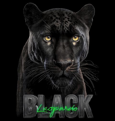 Obrázek produktu Dámské tričko Černý Panter Black Panther