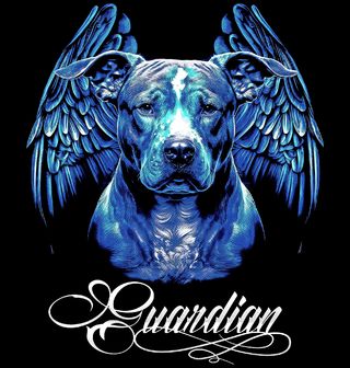 Obrázek 2 produktu Pánské tričko Pitbull Nebeský Ochránce Guardian