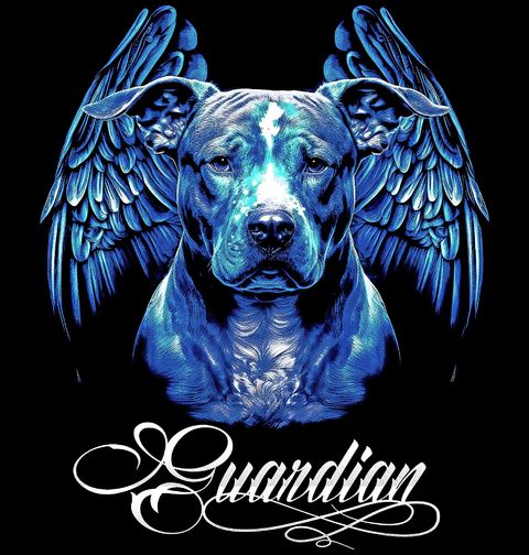Obrázek produktu Pánské tričko Pitbull Nebeský Ochránce Guardian