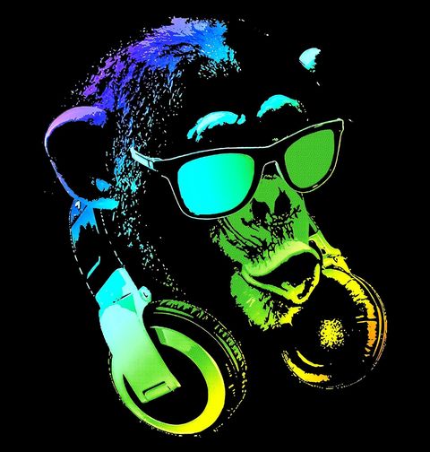 Obrázek produktu Pánské tričko DJ Šimpanz