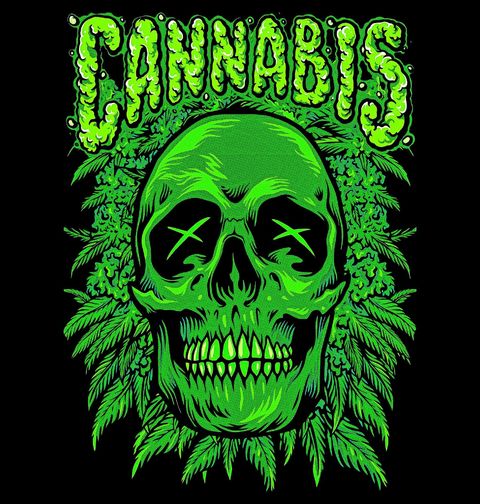 Obrázek produktu Pánské tričko Lebka Cannabis
