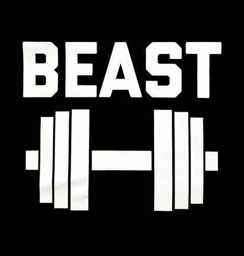 Obrázek produktu Pánské tričko Zvíře Beast