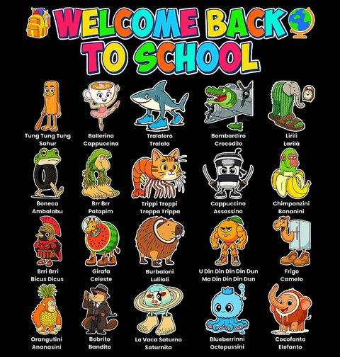 Obrázek produktu Dětské tričko Školní Brainrot Back to School