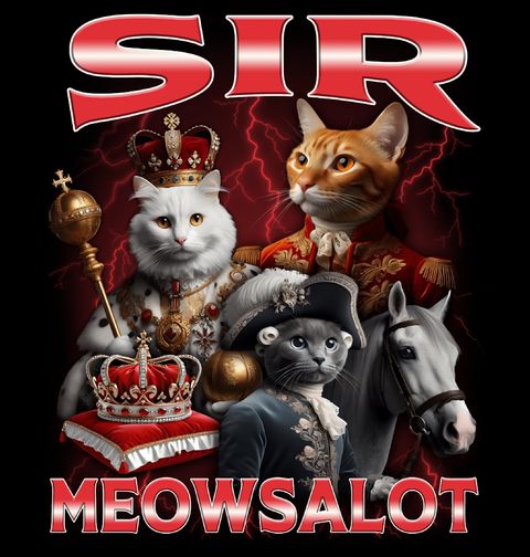 Obrázek produktu Pánské tričko Královská kočka Sir Meowsalot