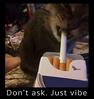 Obrázek 2 produktu Dámské tričko Kočka s Cigaretou Neptej se, jen chilluj
