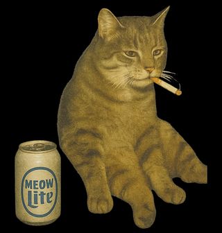 Obrázek 2 produktu Dámské tričko Kočka s Pivem Meow Lite