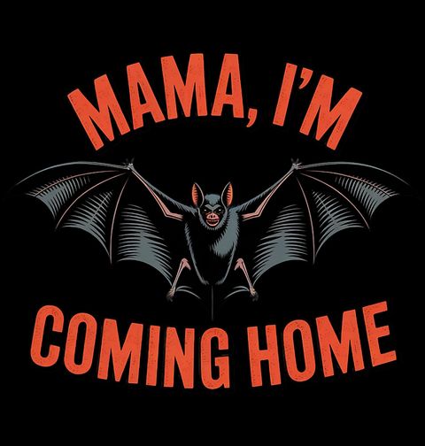Obrázek produktu Dámské tričko Netopýří návrat Mama, I’m Coming Home