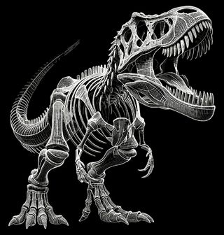 Obrázek 2 produktu Dámské tričko Kostra Dinosaura T-Rex