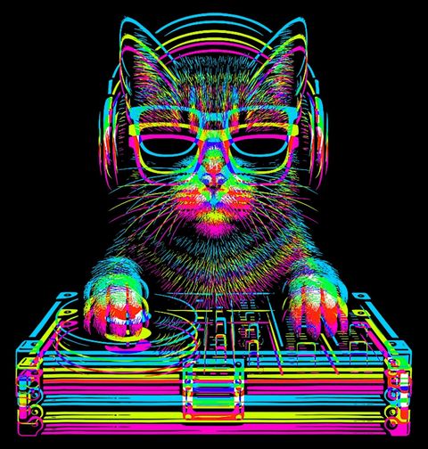 Obrázek produktu Dámské tričko DJ Kočka Glitch Cat