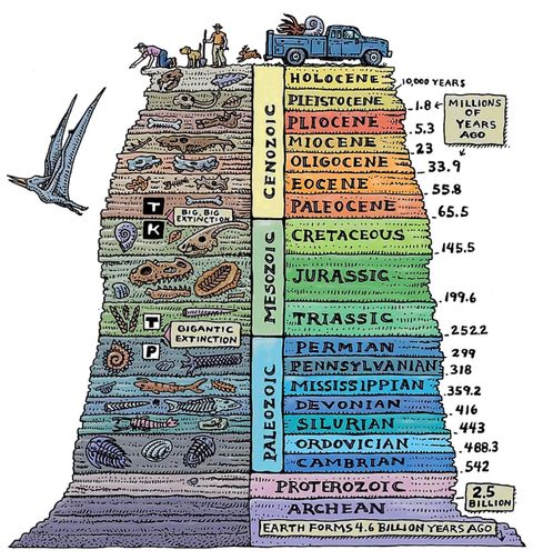 Obrázek produktu Pánské tričko Geologická časová osa