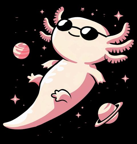 Obrázek produktu Pánské tričko Kosmický Axolotl mexický