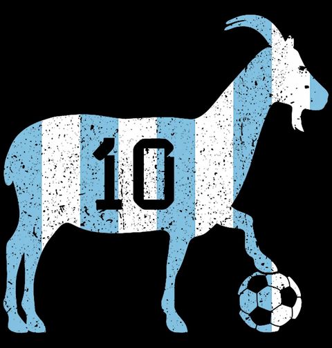 Obrázek produktu Dámské tričko Messi GOAT 10
