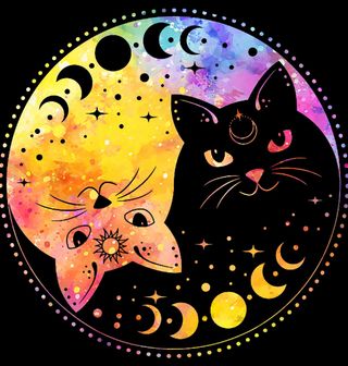 Obrázek 2 produktu Pánské tričko Jin a Jang Měsíční Kočky Yin Yang Cats