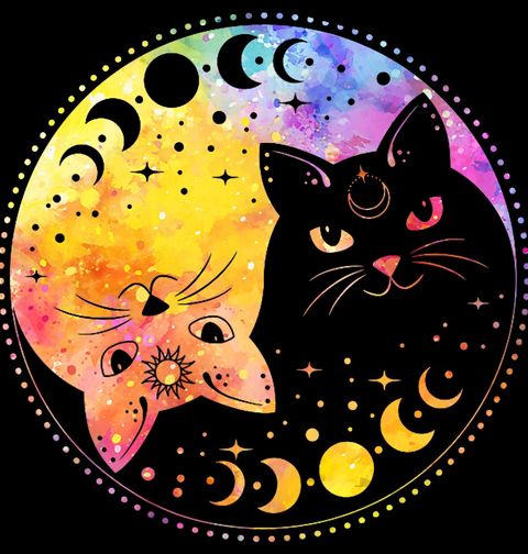 Obrázek produktu Pánské tričko Jin a Jang Měsíční Kočky Yin Yang Cats