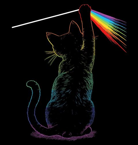 Obrázek produktu Dámské tričko Duhová Kočka Dark Side of the Moon