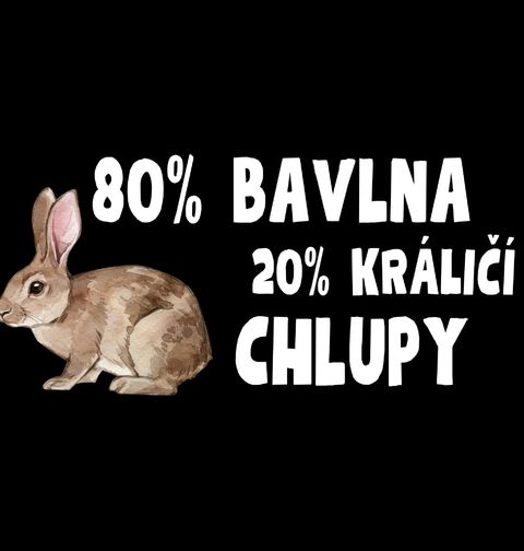 Obrázek produktu Dámské tričko 80 % Bavlna, 20 % Králičí Chlupy