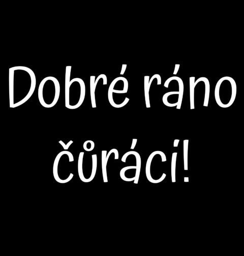 Obrázek produktu Dámské tričko Dobré ráno čůráci!