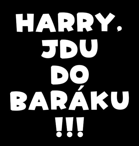 Obrázek produktu Pánské tričko Harry, jdu do baráku! Sám doma