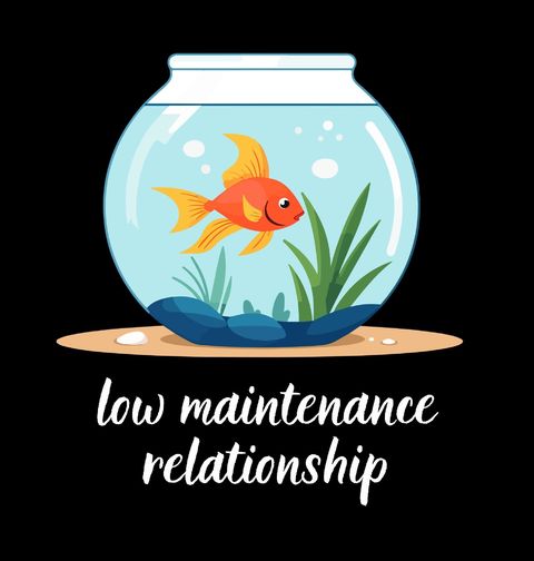 Obrázek produktu Dámské tričko Zlatá Ryba v Akvárku Low Maintenance Relationship