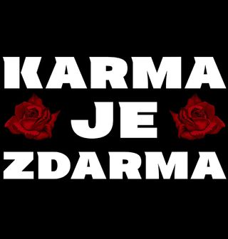 Obrázek 2 produktu Pánské tričko Karma je zdarma