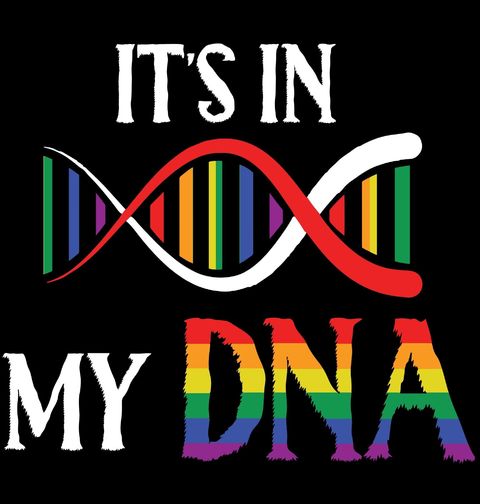 Obrázek produktu Pánské tričko LGBT v mém DNA It's In My DNA
