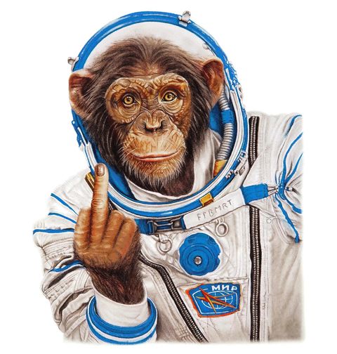 Obrázek produktu Dámské tričko Astronaut Šimpanz s prostředníčkem