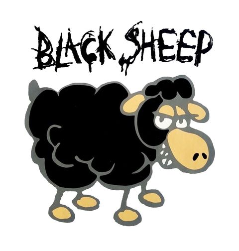 Obrázek produktu Pánské tričko Černá ovce
