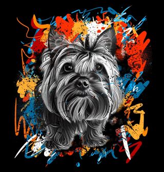 Obrázek 2 produktu Dámské tričko Pouliční Jorkšír Urban Art