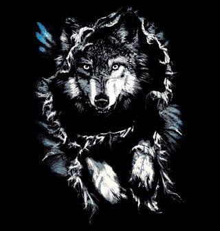 Obrázek 3 produktu Dámské tričko Tajemný Vlk