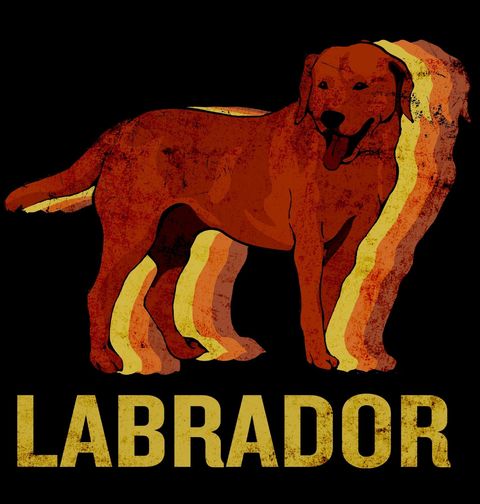 Obrázek produktu Dětské tričko Retro Labradorský retrívr