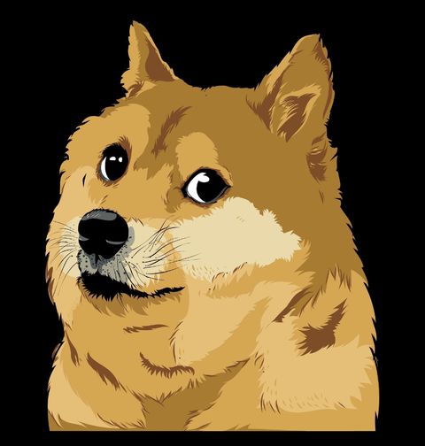 Obrázek produktu Dámské tričko Shiba-Inu Doge Meme