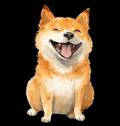 Obrázek produktu Dětské tričko Usměvavý Shiba-Inu