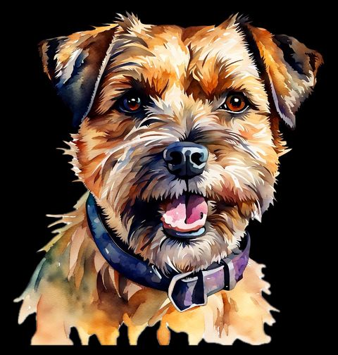 Obrázek produktu Pánské tričko Border teriér Border Terrier