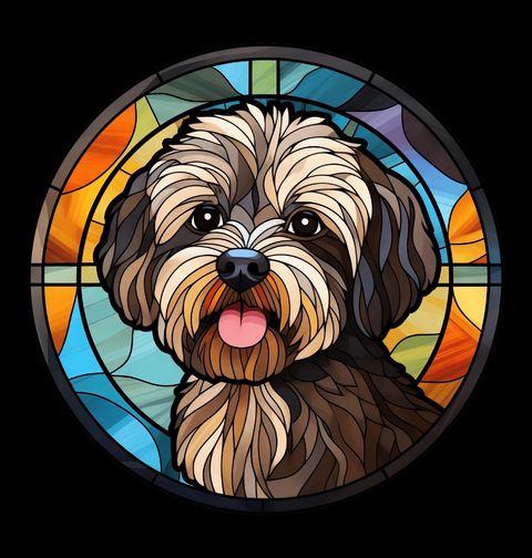Obrázek produktu Dětské tričko Havanský psík ve Vitráži Stained Glass