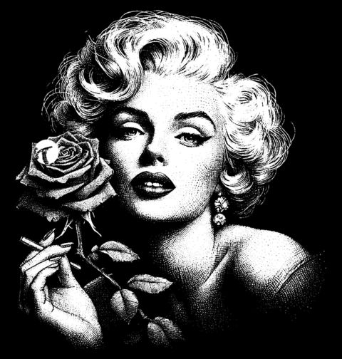 Obrázek produktu Dámské tričko Růže pro Marilyn Monroe