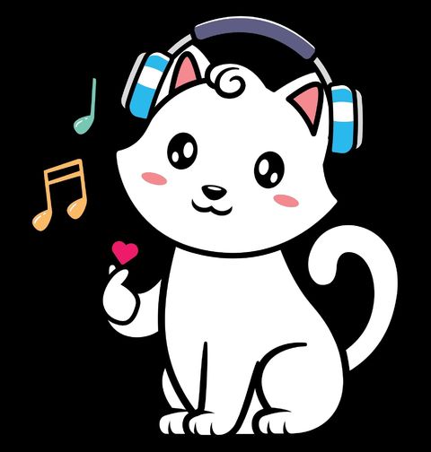 Obrázek produktu Dámské tričko Kočičí K-pop fanoušek