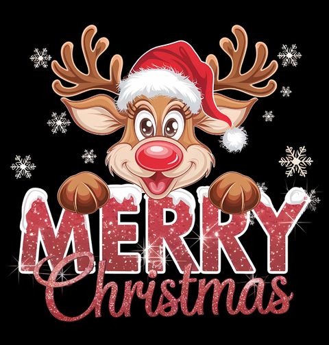 Obrázek produktu Dámské tričko Veselé Sobí Vánoce Merry Christmas