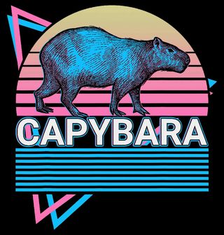 Obrázek 2 produktu Pánské tričko Retro Kapybara při Západu Slunce 80s