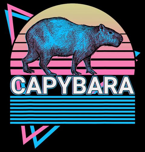 Obrázek produktu Pánské tričko Retro Kapybara při Západu Slunce 80s