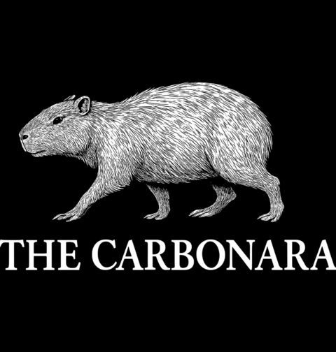 Obrázek produktu Dámské tričko Kapybara The Carbonara