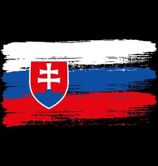 Obrázek 2 produktu Pánské tričko Vlajka Slovenska