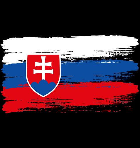 Obrázek produktu Pánské tričko Vlajka Slovenska