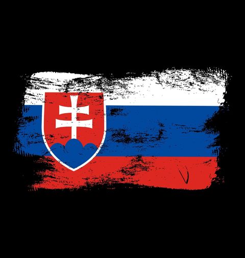 Obrázek produktu Dětské tričko Vintage Vlajka Slovenské republiky